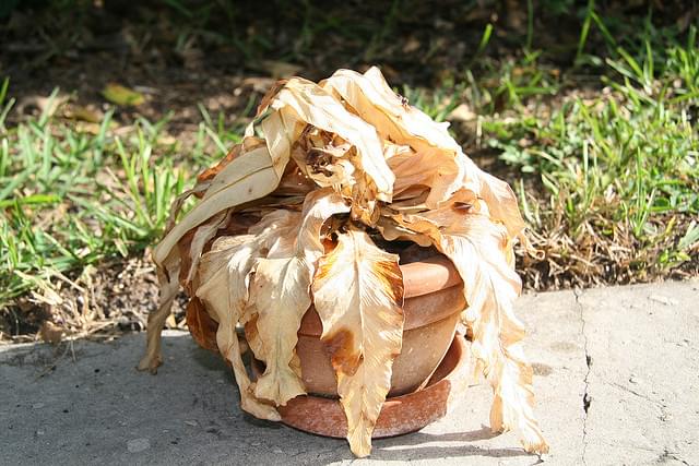 Self storage isn't the place to store everything.