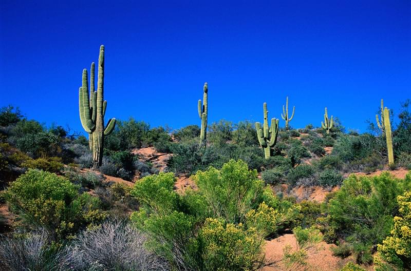 Self Storage and Temperature Extremes Image