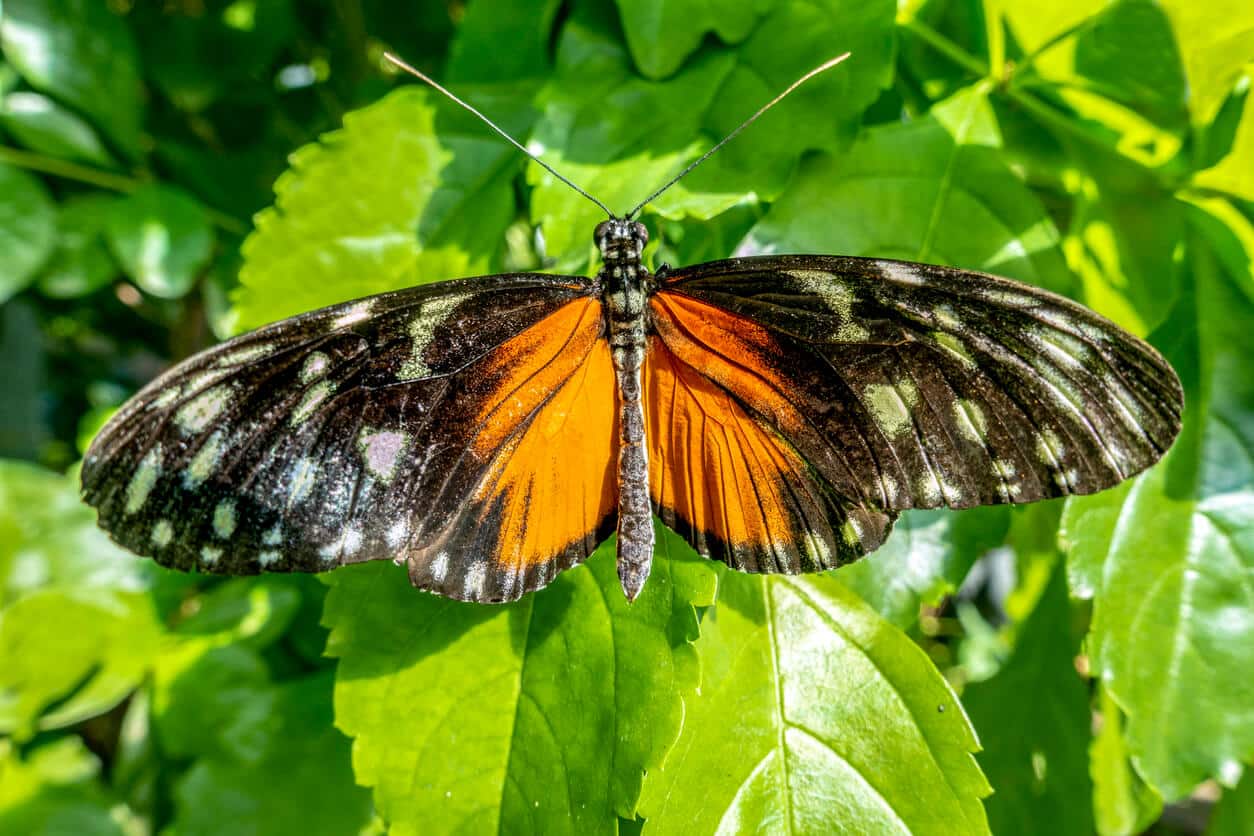 Fun Family Things to Do in Margate, FL Image